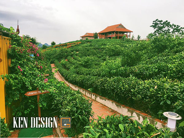 Homestay đẹp ở Mộc Châu 